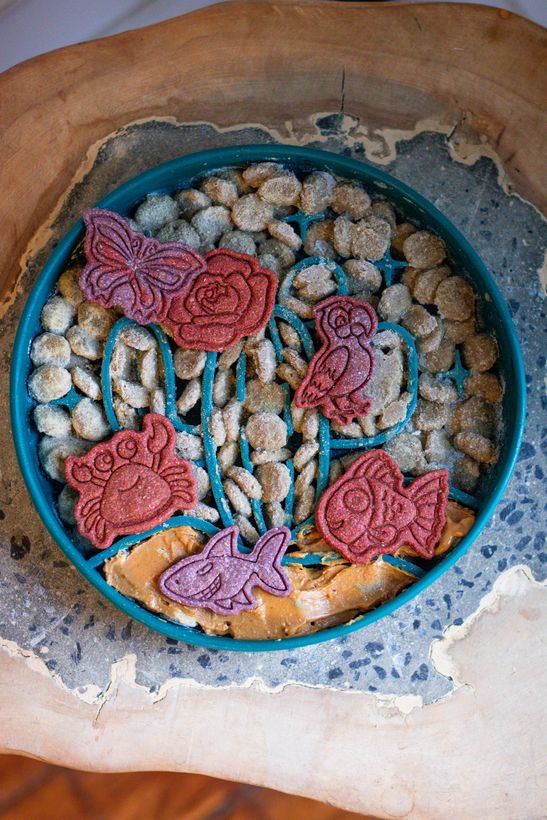 Arrangement coloré de biscuits dans un bol turquoise