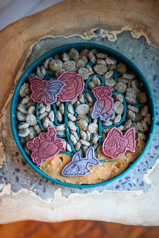 Biscuits et croquettes dans un bol d'enrichissement turquoise